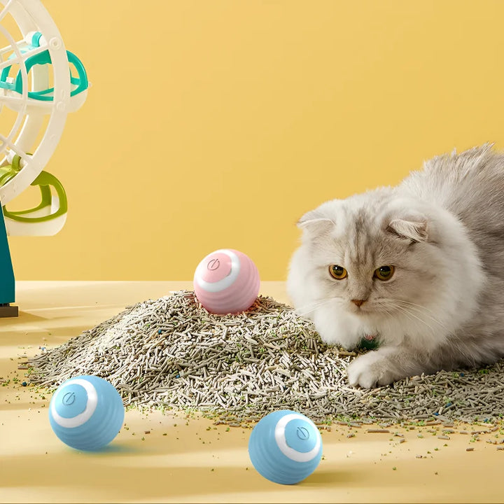 Cat Interactive Ball Smart Toy